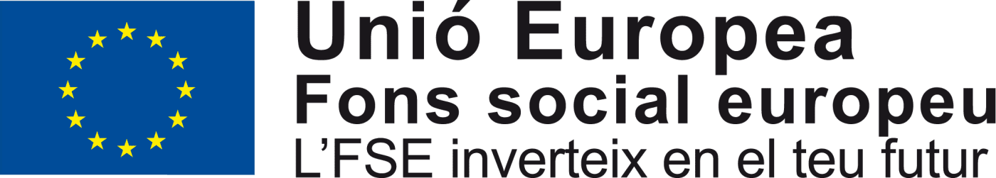 Fons social europeu FSE
