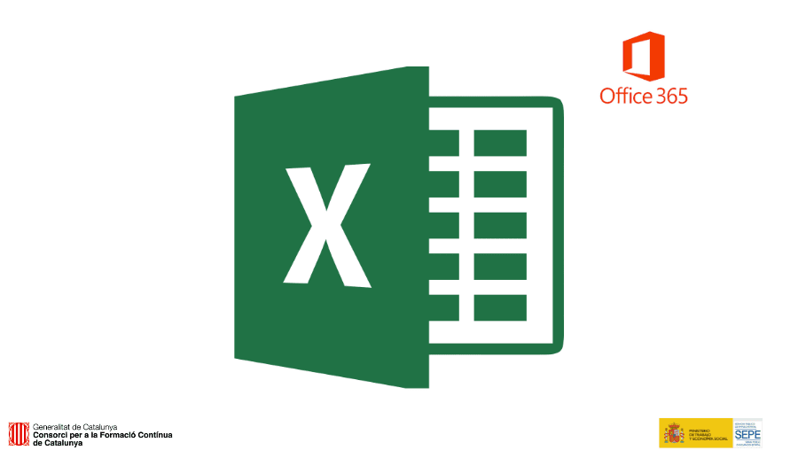 Excel Inicial - MS Office Specialist