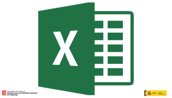 Excel II - MS Office Specialist