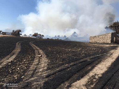 Els Bombers de la Generalitat treballen en un incendi agrícola i forestal a Ciutadilla ja estabilitzat