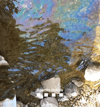 Els Agents Rurals investiguen un abocament d'hidrocarburs al riu Ondara