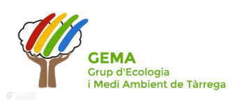 Tàrrega té actualment 392 escocells on anteriorment hi havia arbres segons un recompte del Grup d’Ecologia i Medi Ambient