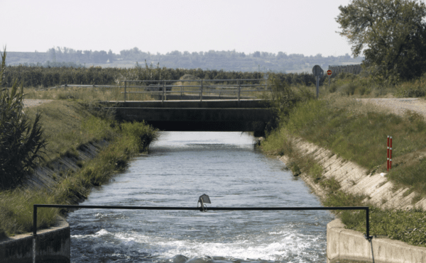 El canal d’Urgell finalitzarà la campanya de reg el 27 de setembre