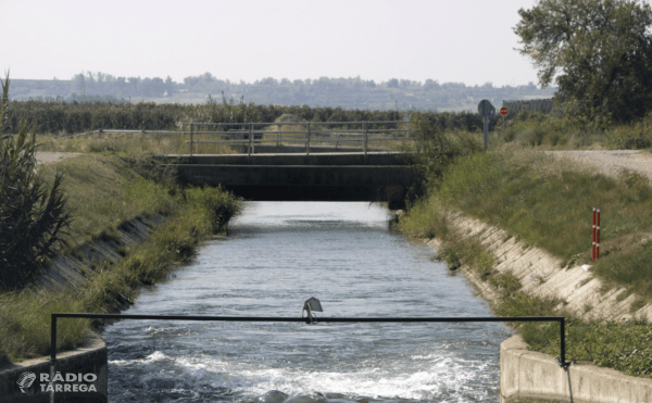El canal d’Urgell finalitzarà la campanya de reg el 27 de setembre