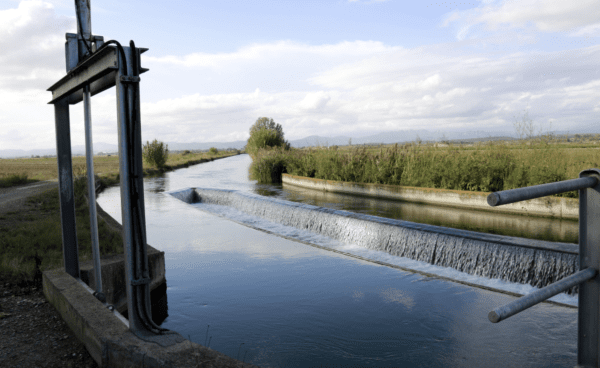 La Comunitat General dels Canals d’Urgell impulsa el sistema “Claus en mà” per facilitar la modernització de les explotacions