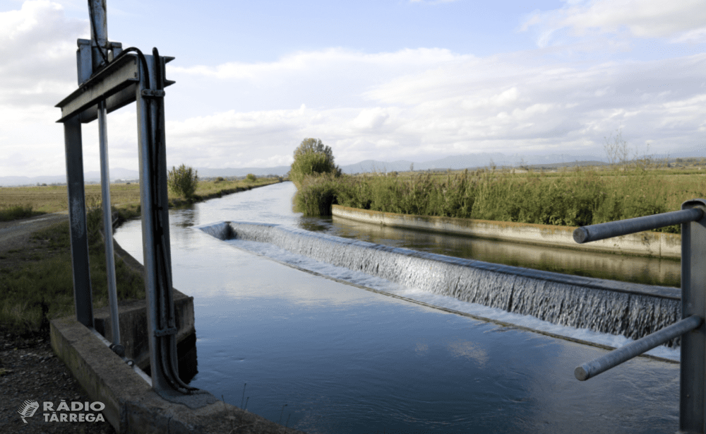 La Comunitat General dels Canals d’Urgell impulsa el sistema “Claus en mà” per facilitar la modernització de les explotacions