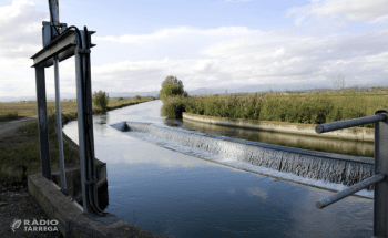 La Comunitat General dels Canals d’Urgell impulsa el sistema “Claus en mà” per facilitar la modernització de les explotacions