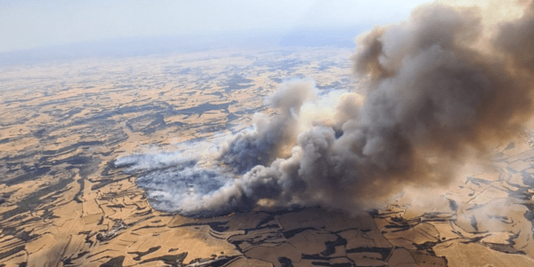 El Ministeri d’Agricultura, Pesca i Alimentació inicia el pagament en ajudes directes als 9.679 agricultors i ramaders afectats pels grans incendis forestals