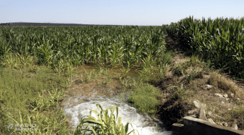 El Departament d'Agricultura aprova els primers 149 expedients d'ajut a la 1a instal·lació de persones joves agricultores de 2025 per 6,3 M€