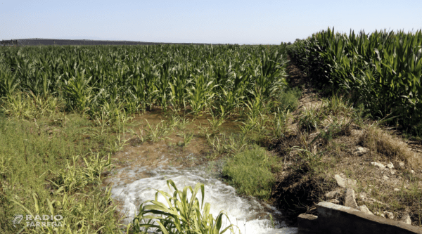 El Departament d'Agricultura aprova els primers 149 expedients d'ajut a la 1a instal·lació de persones joves agricultores de 2025 per 6,3 M€