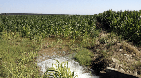 El Departament d'Agricultura aprova els primers 149 expedients d'ajut a la 1a instal·lació de persones joves agricultores de 2025 per 6,3 M€