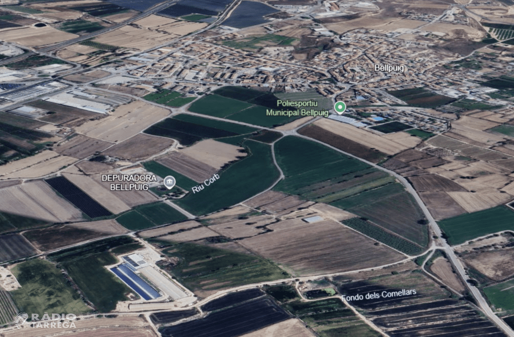 Pobles Vius demana l’aturada de les subvencions al biogàs davant el brot de grip aviària de Bellpuig