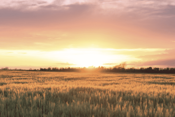 La comarca de l'Urgell rebrà el distintiu de Destinació Turística Intel·ligent a la Fira Internacional de Turisme de Madrid