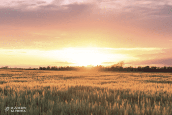 La comarca de l'Urgell rebrà el distintiu de Destinació Turística Intel·ligent a la Fira Internacional de Turisme de Madrid