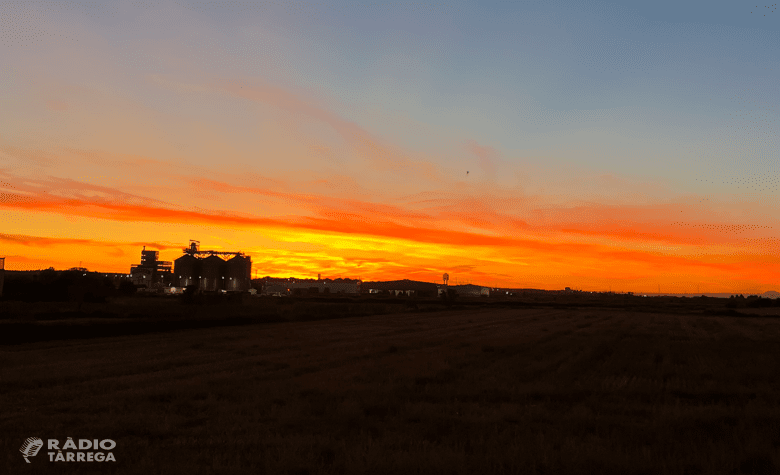 Onze estacions meteorològiques baten o igualen el rècord de temperatura màxima de febrer a Ponent