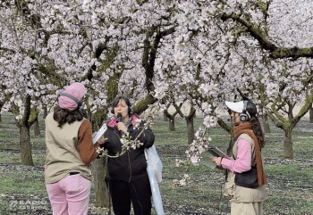 Bona acollida de 'L’Urgell, un passeig entre ametllers' a Vilagrassa