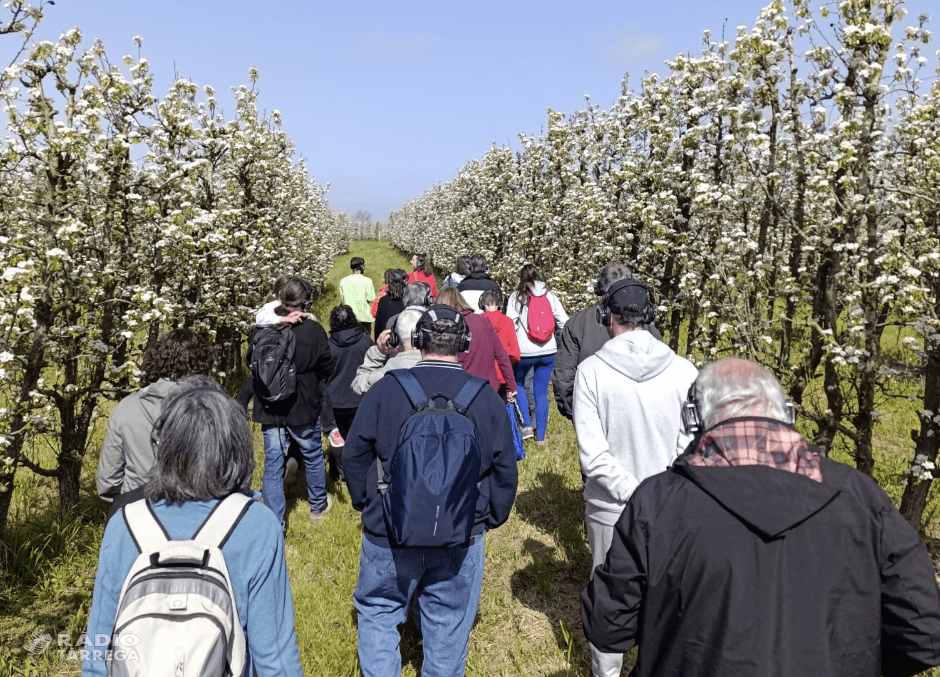 Continua l’espectacle de floració a l’Urgell, al terme de Tornabous