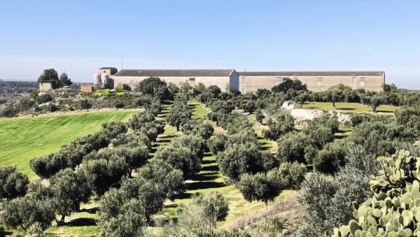 Un espai test agroramader a Sant Martí de Riucorb facilitarà l'accés de nous professionals al sector