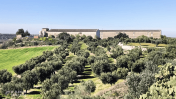 Un espai test agroramader a Sant Martí de Riucorb facilitarà l'accés de nous professionals al sector