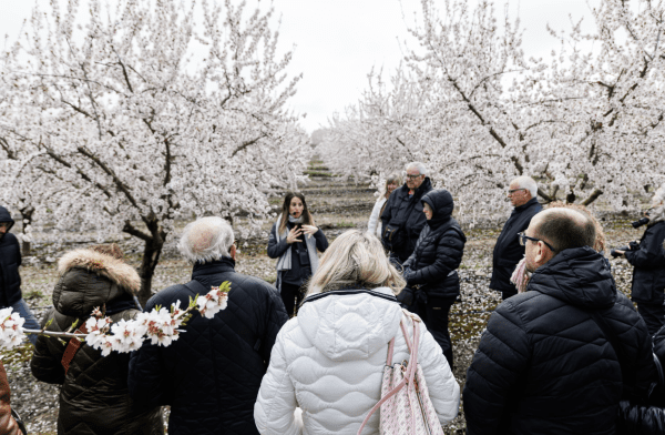 La comarca de l'Urgell incrementa l’atenció turística el 2025