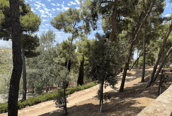 Controlat un incendi de vegetació al Parc de Sant Eloi de Tàrrega