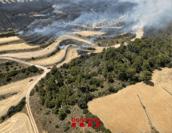 L'incendi de Guimerà ha afectat una superfície d'unes 161 hectàrees