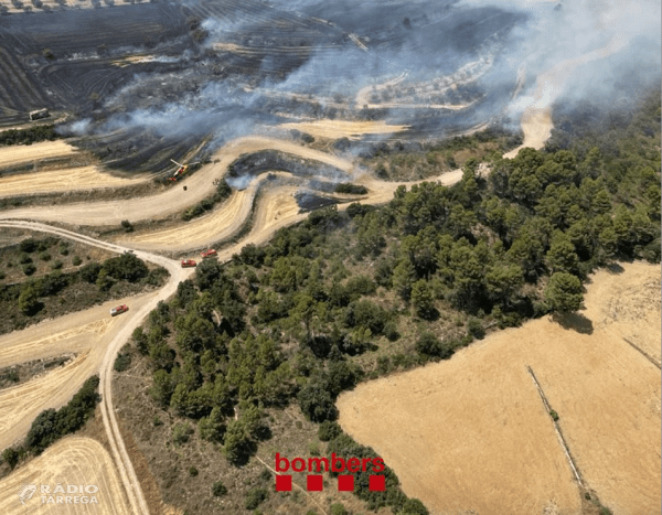 L'incendi de Guimerà ha afectat una superfície d'unes 161 hectàrees