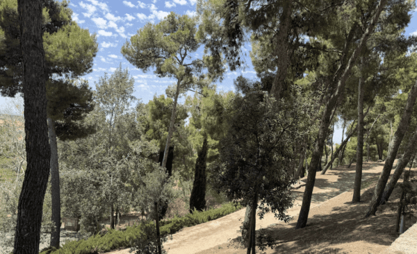 Petit incendi de vegetació al Parc de Sant Eloi de Tàrrega