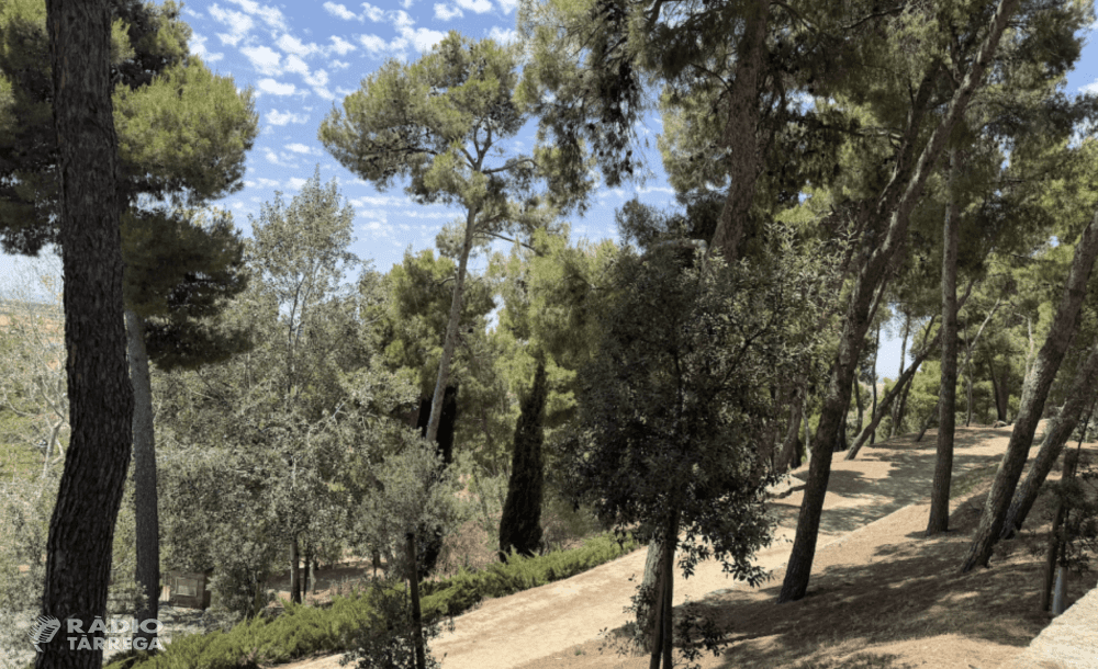 Petit incendi de vegetació al Parc de Sant Eloi de Tàrrega