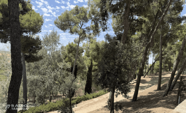 Petit incendi de vegetació al Parc de Sant Eloi de Tàrrega