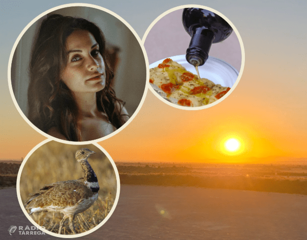 Mas de Colom uneix música, gastronomia i biodiversitat en una nit singular amb Mariona Escoda