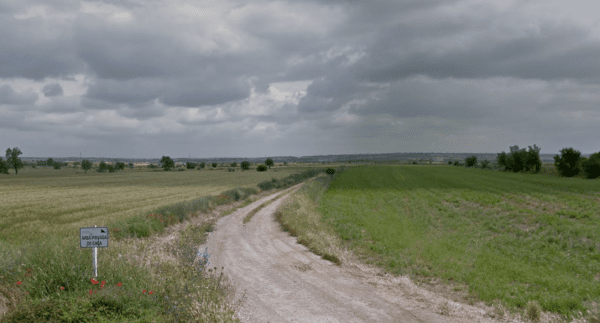 Espais Naturals de Ponent impulsa un estiu d'activitats per descobrir el patrimoni, la natura i la biodiversitat