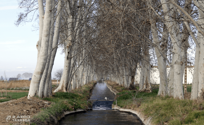 Els Canals d’Urgell exposen als síndics la nova proposta de modernització amb adhesió voluntària