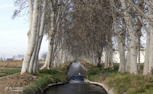 Els Canals d’Urgell exposen als síndics la nova proposta de modernització amb adhesió voluntària