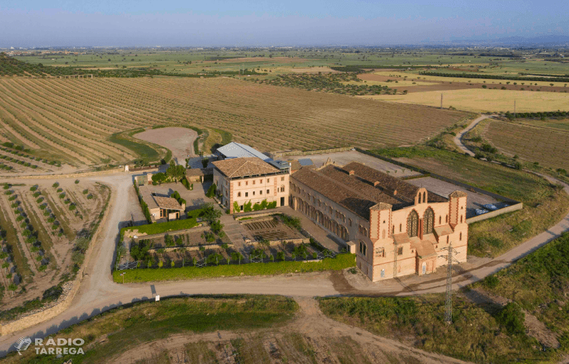 Borges International Group s'incorpora al Consell de Mecenatge de la Fundació Catalunya Cultura