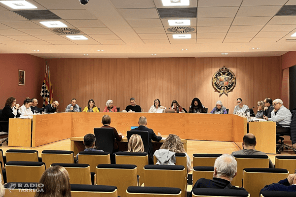 El Ple de Tàrrega aprova una nova classificació de la taxa comercial de recollida de residus