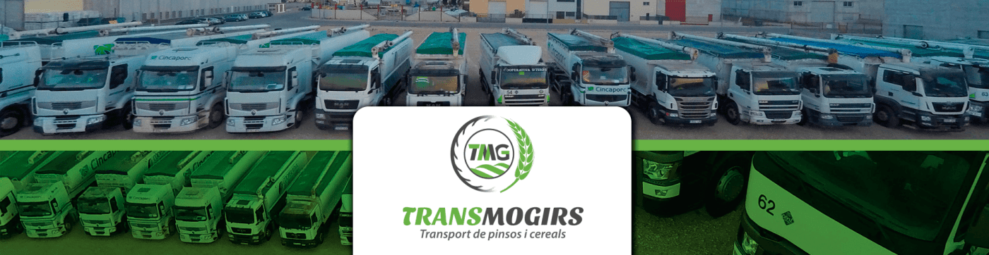 Transmogirs