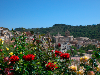 Vallbona de les Monges - Vila Florida