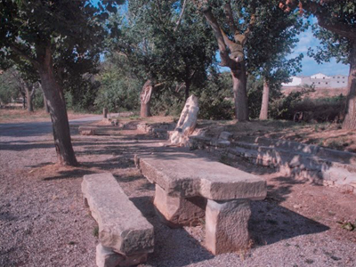 Font de Sta. Magdalena de Verdú