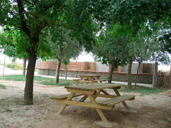 Àrea de pícnic d'Anglesola