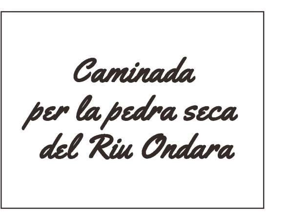 19 de Gener de 2025