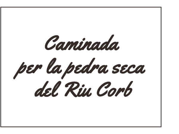 25 de Gener de 2025