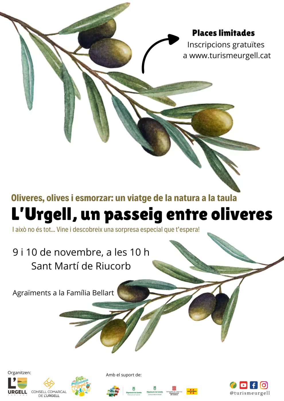 9 i 10 de novembre, L'Urgell, un passeig entre oliveres