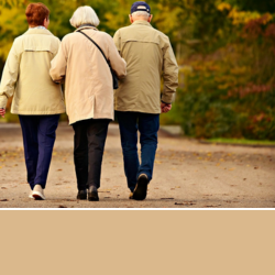 PLA LOCAL D'ACCIÓ COMUNITÀRIA INCLUSIVA (duplicate)