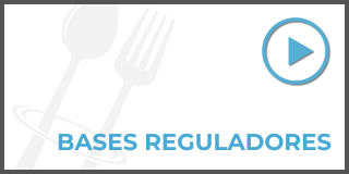 BASES REGULADORES