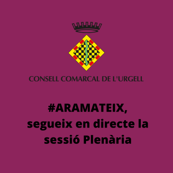 Segueix en directe del Plenari del Consell Comarcal de l'Urgell