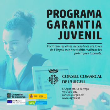 Programa garantia juvenil