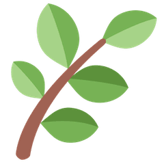 Fracció Vegetal