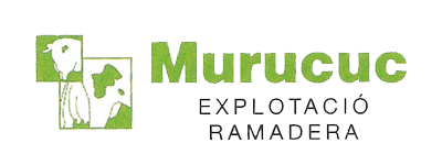 Murucuc