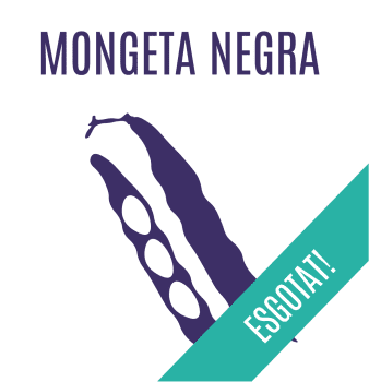 MONGETA NEGRA - 1